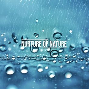 Download track Earth Rain Nurture Of Nature