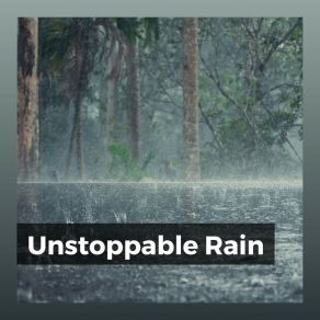 Download track Rainwater Rain Sounds For Sleep Aid