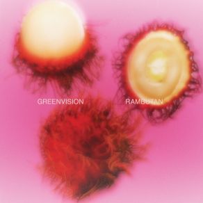 Download track Rambutan (Original Mix) Greenvision