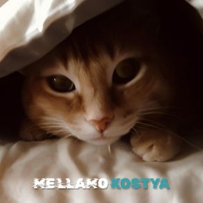 Download track Closing Down Mellamokostya