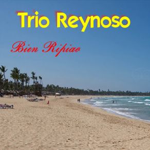 Download track Conformidad Trio Reynoso