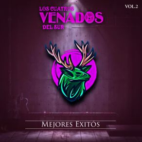 Download track Mi Lindo Oaxaca Los Cuatros Venados Del Sur