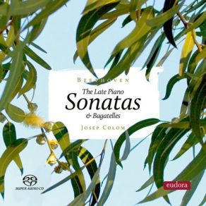 Download track Sonata No. 31 In A-Flat Major, Op. 110- III. Adagio Ma Non Troppo-Fuga Josep Colom