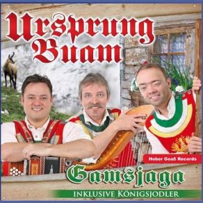 Download track Pöltinger Ursprung Buam