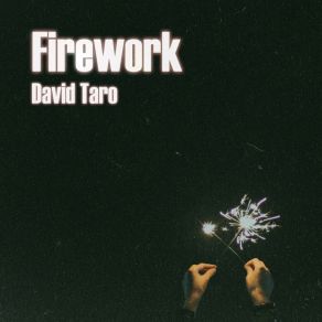 Download track Everything Is Beautiful David Taro