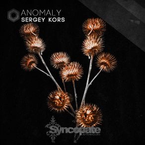 Download track Anomaly (Original Mix) Sergey Kors