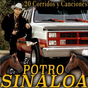 Download track Rosa Morada El Potro De Sinaloa