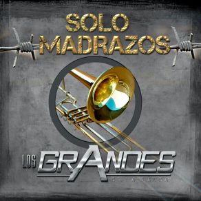 Download track Necesito Decírtelo Los Grandes De La Banda