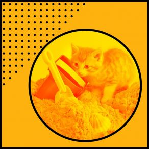 Download track Incredible Music For Cozy Kittens Sleepy Cats