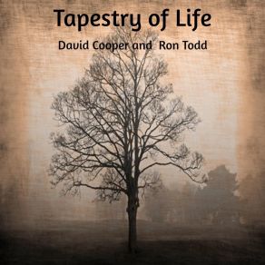 Download track Country Blues David Cooper, Ron Todd