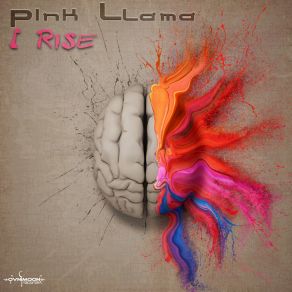 Download track Conscious Machines Pink Llama