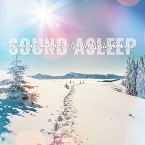 Download track Relaxing Rustling Pine Needles Winter Ambience, Pt. 7 Elijah Wagner