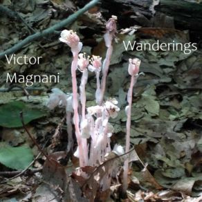 Download track Bagatelles For Wind Quintet, Pt. 1: Wanderings And Wonderings Victor Magnani