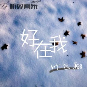 Download track 好在我 付飞翔