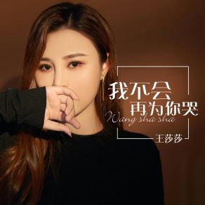 Download track 我不会再为你哭 (DJ何鹏版) 王莎莎