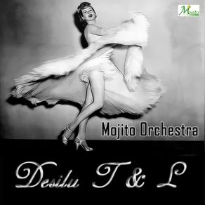 Download track El Punetazo Mojito Orchestra