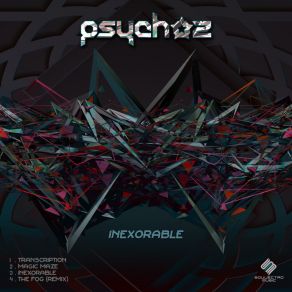 Download track Transcription Psychoz