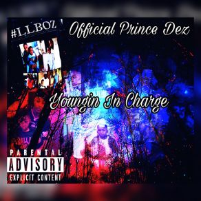 Download track In Charge (Intro) Official Prince Dez