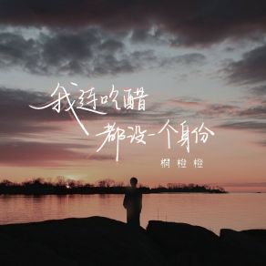 Download track 我连吃醋都没一个身份 (伴奏) 桐橙橙