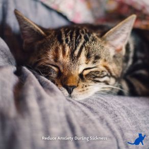 Download track Keep Your Pet Quiet Jazz Music Therapy For Cats