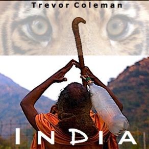 Download track Ellora Caves Trevor Coleman