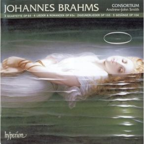 Download track 20. Zigeunerlieder Op. 103 - 6. Roeslein Dreie In Der Reihe Johannes Brahms