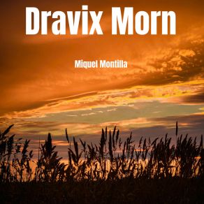 Download track Jorvin Skel Miquel Montilla