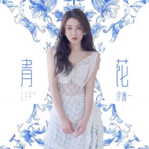 Download track 青花 (伴奏版) Yang Lan Yi