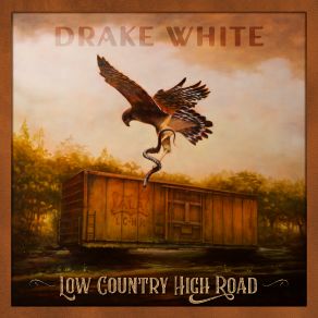 Download track Hometown Healing Drake White