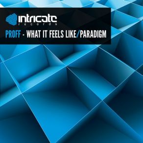 Download track What It Feels Like (Original Mix) PROFF