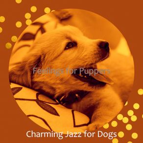 Download track Tranquil Smooth Jazz Saxophone - Vibe For Walking Dogs Charming Jazz For Dogs