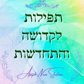 Download track אשא עיני Asaph Neve Shalom