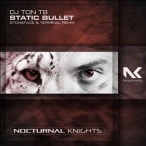 Download track Static Bullet (Stoneface & Terminal Remix) Stoneface, DJ Ton'tB