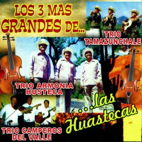 Download track Las Isabeles Los 3 Más Grandes De Las Huastecas