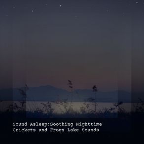 Download track Soothing Nighttime Crickets And Frogs Lake Sounds, Pt. 9 Elijah Wagner