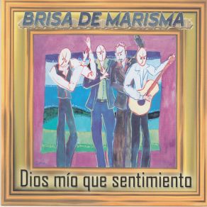 Download track Qué Larga Fue La Espera Brisa De Marisma