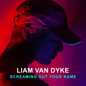 Download track Screaming Out Your Name Liam Van Dyke