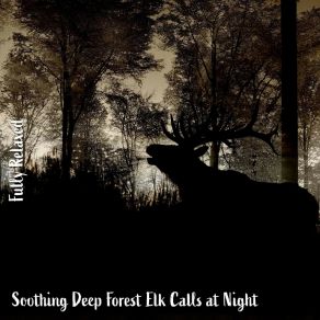 Download track Soothing Deep Forest Elk Calls At Night, Pt. 6 Steve Brassel