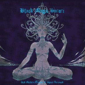 Download track Black Magic Satori Acid Mothers Temple, Space Paranoid