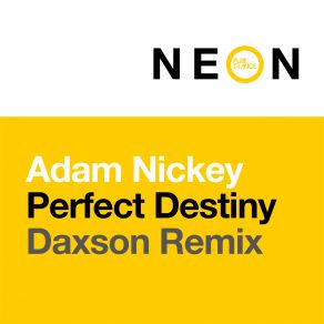 Download track Perfect Destiny (Daxson Remix) Adam Nickey