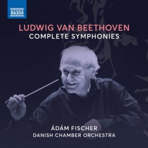 Download track Symphony No. 9 In D Minor, Op. 125 IV. Finale. Presto Adam Fischer, Danish Chamber Orchestra