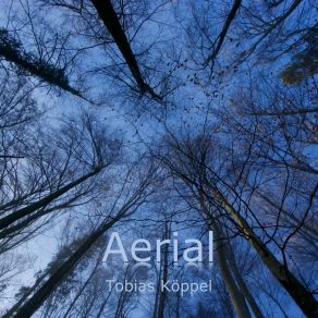 Download track Cameleon Tobias Koppel