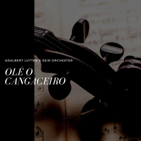 Download track Olé O Cangaceiro Sein Orchester *