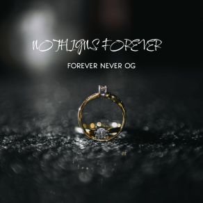 Download track I Hate This Forever Never OG