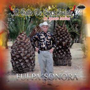 Download track Por Migajas El Gallo De Cruz Grande