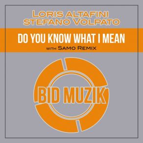 Download track Do You Know What I Mean (Original Mix) Stefano Volpato