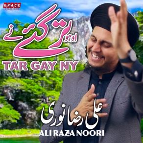 Download track Tar Gay Ny Ali Raza Noori