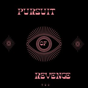 Download track Pursuit Of Revenge Sunshine Boy