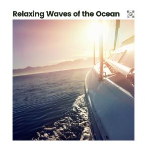 Download track Playing On The Beach Tailormade Ocean Waves