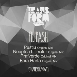 Download track Fara Harta (Original Mix) Filipash